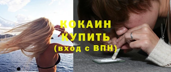 винт Алексин