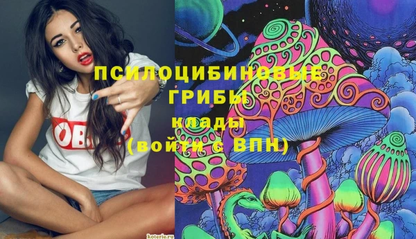 винт Алексин
